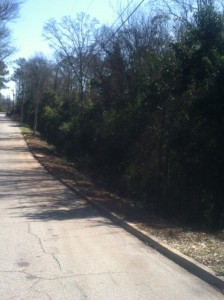 photo (12)