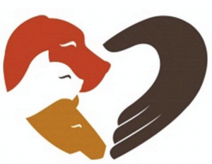 Screen Shot 2016-07-01 at 10.23.35 AM