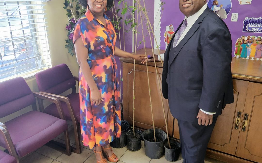 Local churches purchase Cherry Blossom trees to beautify neighborhoods