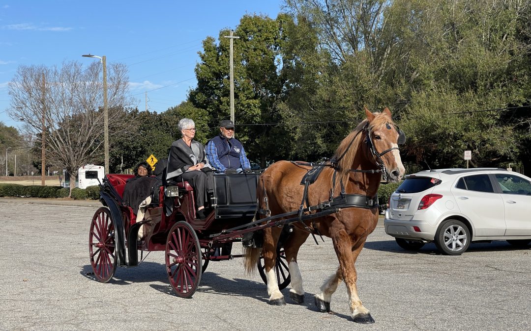Seniors get in the holiday spirit with horse carriage rides
