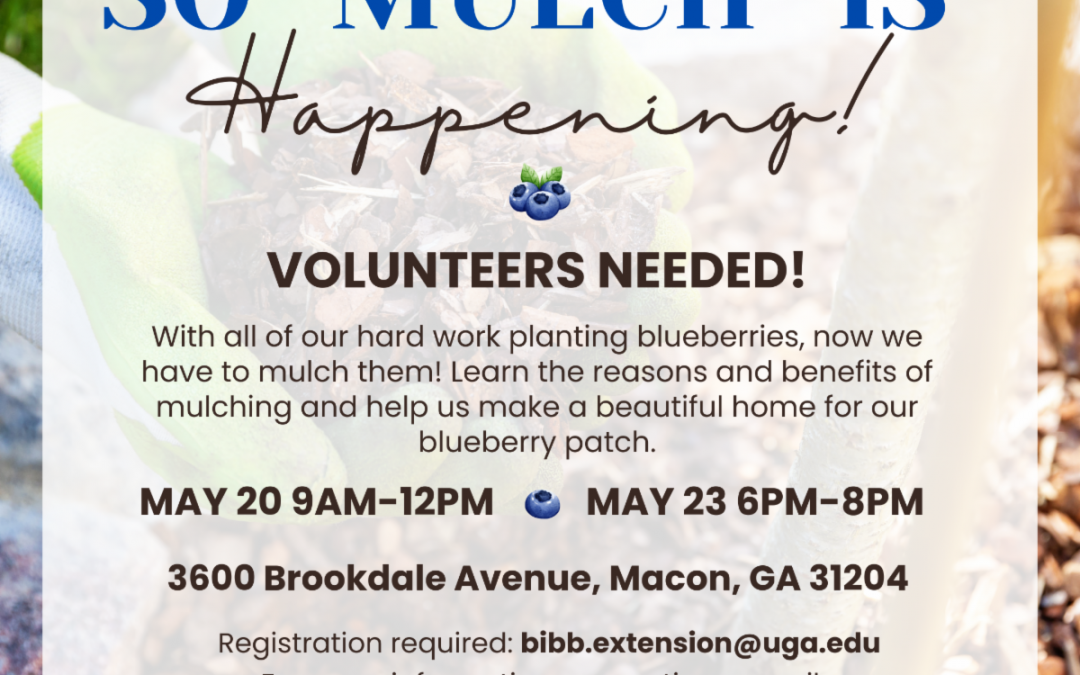 Volunteers needed to help with blueberry bushes at The Gardens at Brookdale